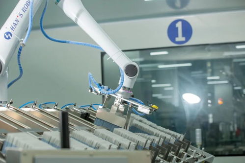 國貨美妝品牌透明化，源自品質自信引領家居用品新潮流