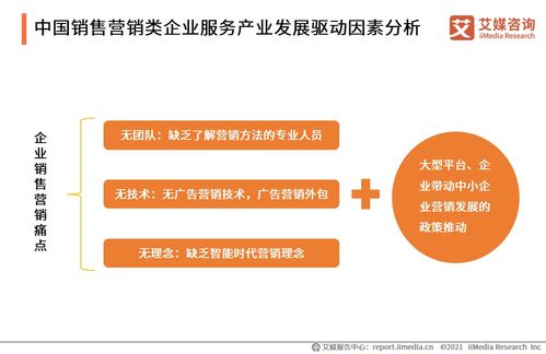 2021上半年中國企業(yè)服務(wù)專題研究報(bào)告 信息咨詢服務(wù)的發(fā)展與變革